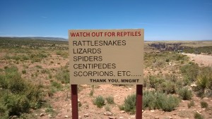 Pochi pericoli nel deserto dell'Arizona..